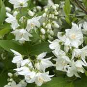 ヒメ日記 2025/04/26 09:43 投稿 荒井　雫 八王子だョ！変態集合