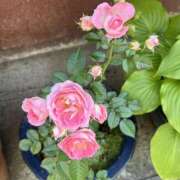 ヒメ日記 2025/05/27 22:58 投稿 荒井　雫 八王子だョ！変態集合