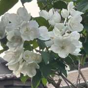 ヒメ日記 2025/05/28 18:20 投稿 荒井　雫 八王子だョ！変態集合