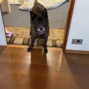 ヒメ日記 2025/06/06 18:58 投稿 荒井　雫 八王子だョ！変態集合