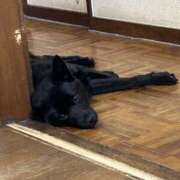 ヒメ日記 2025/06/24 09:06 投稿 荒井　雫 八王子だョ！変態集合