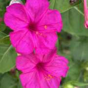 ヒメ日記 2025/07/08 21:21 投稿 荒井　雫 八王子だョ！変態集合