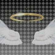 ヒメ日記 2025/07/09 09:48 投稿 荒井　雫 八王子だョ！変態集合