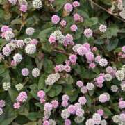 ヒメ日記 2025/07/09 13:58 投稿 荒井　雫 八王子だョ！変態集合