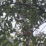 ヒメ日記 2025/09/21 08:48 投稿 荒井　雫 八王子だョ！変態集合