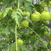 ヒメ日記 2025/09/23 09:14 投稿 荒井　雫 八王子だョ！変態集合