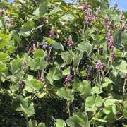 ヒメ日記 2025/09/24 14:32 投稿 荒井　雫 八王子だョ！変態集合