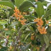 ヒメ日記 2025/10/09 09:15 投稿 荒井　雫 八王子だョ！変態集合