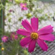 ヒメ日記 2025/10/11 19:47 投稿 荒井　雫 八王子だョ！変態集合