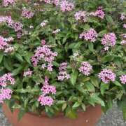 ヒメ日記 2025/10/15 11:41 投稿 荒井　雫 八王子だョ！変態集合