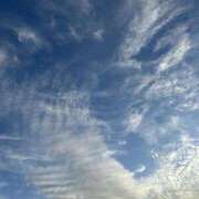 ヒメ日記 2025/11/06 20:22 投稿 荒井　雫 八王子だョ！変態集合