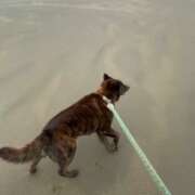 荒井　雫 波も風もなんのその 八王子だョ！変態集合