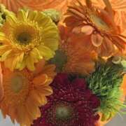 ヒメ日記 2026/03/10 07:22 投稿 荒井　雫 八王子だョ！変態集合