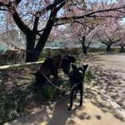 ヒメ日記 2026/03/11 12:23 投稿 荒井　雫 八王子だョ！変態集合