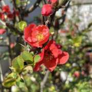 ヒメ日記 2026/03/12 19:43 投稿 荒井　雫 八王子だョ！変態集合