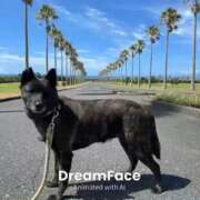 ヒメ日記 2026/03/12 22:28 投稿 荒井　雫 八王子だョ！変態集合