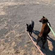 ヒメ日記 2026/03/13 11:46 投稿 荒井　雫 八王子だョ！変態集合