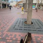 ヒメ日記 2026/03/18 16:10 投稿 荒井　雫 八王子だョ！変態集合