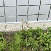 ヒメ日記 2026/03/19 22:36 投稿 荒井　雫 八王子だョ！変態集合