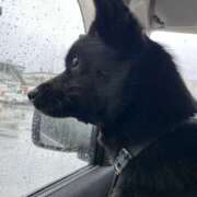 ヒメ日記 2026/03/20 17:21 投稿 荒井　雫 八王子だョ！変態集合