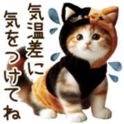 ヒメ日記 2026/03/22 09:53 投稿 荒井　雫 八王子だョ！変態集合