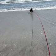 ヒメ日記 2026/03/24 23:28 投稿 荒井　雫 八王子だョ！変態集合