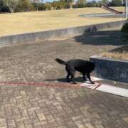 ヒメ日記 2026/03/25 15:23 投稿 荒井　雫 八王子だョ！変態集合