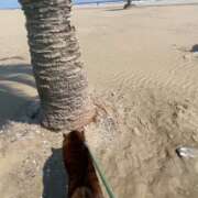 ヒメ日記 2026/03/25 17:01 投稿 荒井　雫 八王子だョ！変態集合