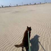 ヒメ日記 2026/03/25 20:08 投稿 荒井　雫 八王子だョ！変態集合