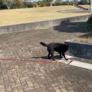 ヒメ日記 2026/03/26 09:08 投稿 荒井　雫 八王子だョ！変態集合