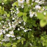 ヒメ日記 2026/03/27 16:42 投稿 荒井　雫 八王子だョ！変態集合