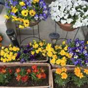 ヒメ日記 2026/03/28 08:58 投稿 荒井　雫 八王子だョ！変態集合