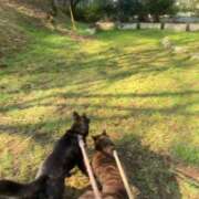 ヒメ日記 2026/03/29 10:00 投稿 荒井　雫 八王子だョ！変態集合