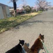 ヒメ日記 2026/03/29 12:03 投稿 荒井　雫 八王子だョ！変態集合