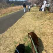ヒメ日記 2026/03/29 15:07 投稿 荒井　雫 八王子だョ！変態集合