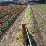 ヒメ日記 2026/03/29 19:13 投稿 荒井 雫 八王子だョ!変態集合