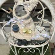 ヒメ日記 2026/03/29 13:36 投稿 荒井　雫 八王子だョ！変態集合