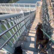 ヒメ日記 2026/03/30 08:23 投稿 荒井　雫 八王子だョ！変態集合