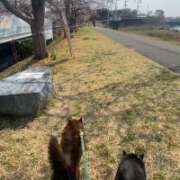 ヒメ日記 2026/03/31 09:33 投稿 荒井　雫 八王子だョ！変態集合