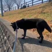 ヒメ日記 2026/03/31 10:34 投稿 荒井　雫 八王子だョ！変態集合