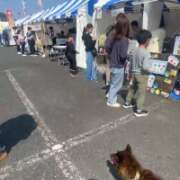 ヒメ日記 2026/03/31 13:42 投稿 荒井　雫 八王子だョ！変態集合