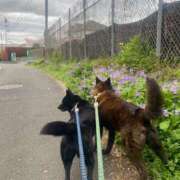 ヒメ日記 2026/04/02 07:03 投稿 荒井　雫 八王子だョ！変態集合