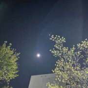 ヒメ日記 2026/04/03 09:02 投稿 荒井　雫 八王子だョ！変態集合