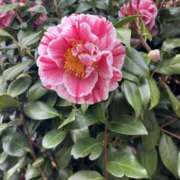 ヒメ日記 2026/04/03 23:29 投稿 荒井　雫 八王子だョ！変態集合