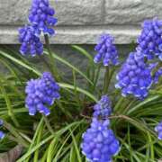 ヒメ日記 2026/04/07 23:01 投稿 荒井　雫 八王子だョ！変態集合