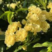 ヒメ日記 2026/04/12 22:48 投稿 荒井　雫 八王子だョ！変態集合