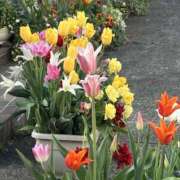 ヒメ日記 2026/04/14 09:23 投稿 荒井　雫 八王子だョ！変態集合