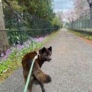 荒井　雫 ご予約 八王子だョ！変態集合