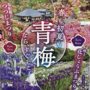 ヒメ日記 2026/04/20 23:47 投稿 荒井　雫 八王子だョ！変態集合