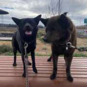 ヒメ日記 2026/04/22 22:43 投稿 荒井　雫 八王子だョ！変態集合